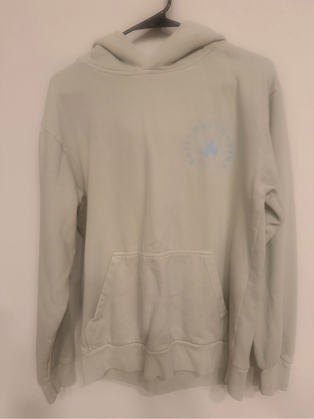 Light Sage Green Hoodie with Subtle Chest Logo
